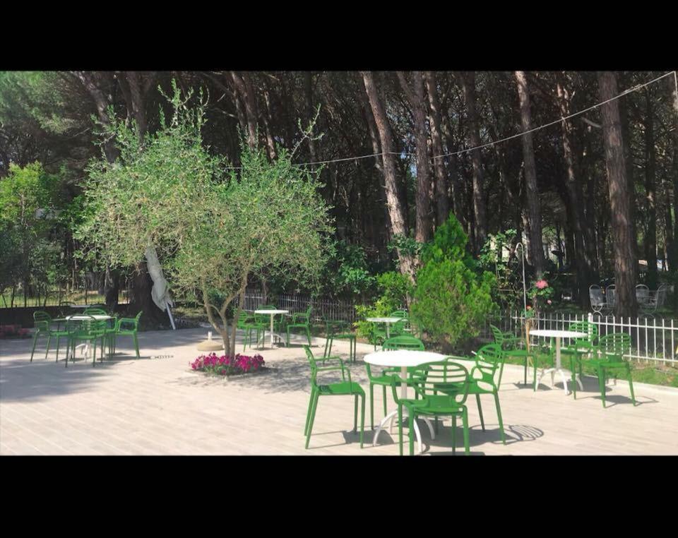Holiday Home Pishat E Buta 28 格勒姆 外观 照片